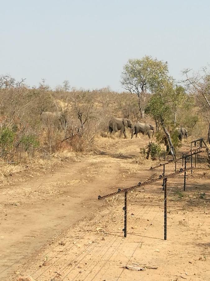 Ngalas Rest 101 Hectorspruit Luaran gambar